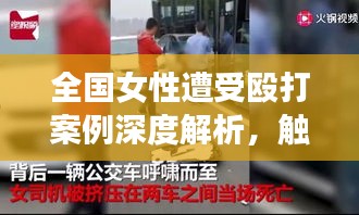 全国女性遭受殴打案例深度解析，触目惊心，揭露真相！