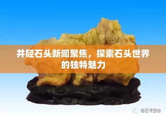 井陉石头新闻聚焦，探索石头世界的独特魅力