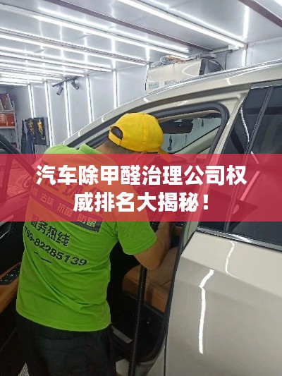 汽车除甲醛治理公司权威排名大揭秘！