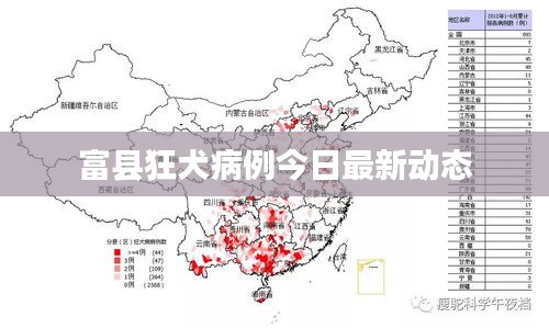 富县狂犬病例今日最新动态