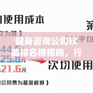 健身咨询公司权威排名榜揭晓，行业领军者解读引领潮流