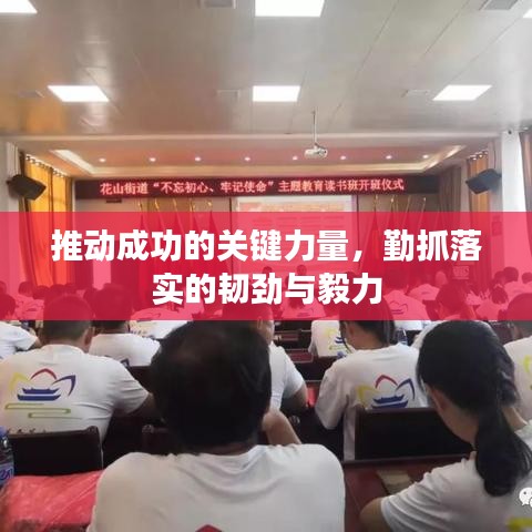 推动成功的关键力量，勤抓落实的韧劲与毅力