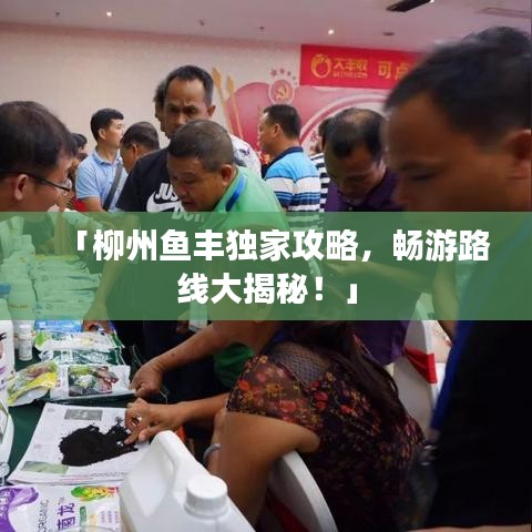 「柳州鱼丰独家攻略，畅游路线大揭秘！」