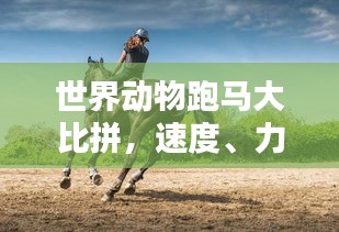 世界动物跑马大比拼，速度、力量与耐力的王者之选