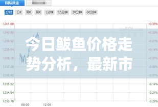 今日鲅鱼价格走势分析，最新市场行情揭秘