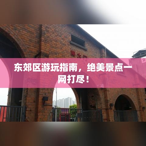 新澳中心 第38页