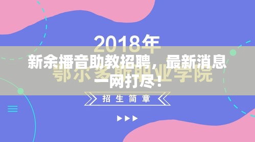 新余播音助教招聘，最新消息一网打尽！