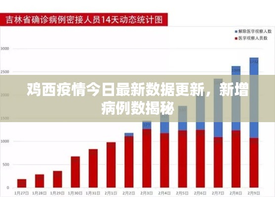 鸡西疫情今日最新数据更新，新增病例数揭秘