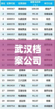 武汉档案公司权威排名榜单揭晓！