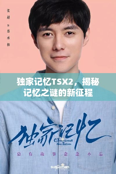 独家记忆TSX2，揭秘记忆之谜的新征程