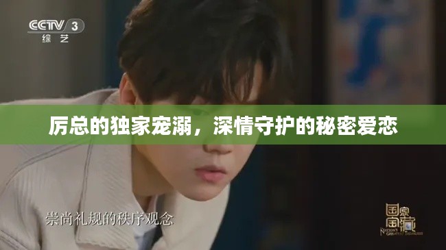 厉总的独家宠溺，深情守护的秘密爱恋
