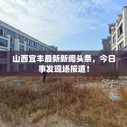 山西宜丰最新新闻头条，今日事发现场报道！
