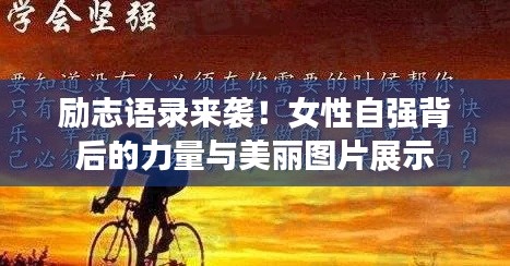百不得一