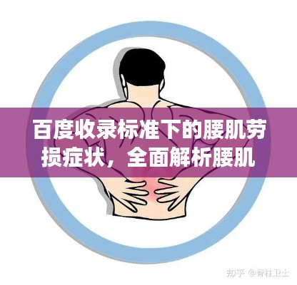 百度收录标准下的腰肌劳损症状，全面解析腰肌劳损表现