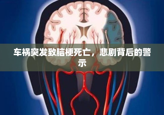 车祸突发致脑梗死亡，悲剧背后的警示
