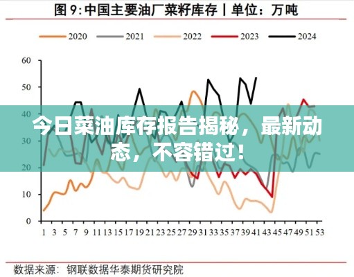 今日菜油库存报告揭秘，最新动态，不容错过！