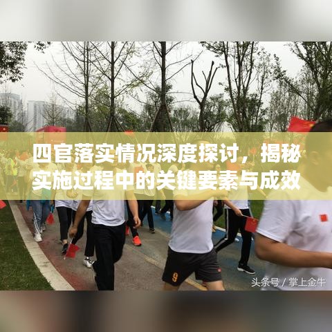 四官落实情况深度探讨，揭秘实施过程中的关键要素与成效分析