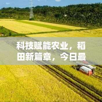 徙宅忘妻