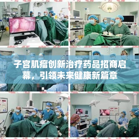 子宫肌瘤创新治疗药品招商启幕，引领未来健康新篇章