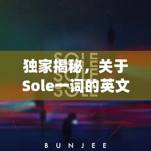 独家揭秘，关于Sole一词的英文解读