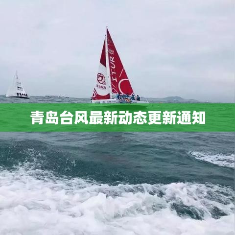 青岛台风最新动态更新通知