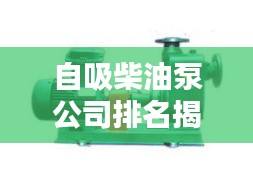 自吸柴油泵公司排名揭晓，优质供应商一览