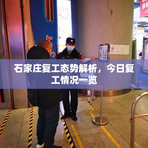 石家庄复工态势解析，今日复工情况一览
