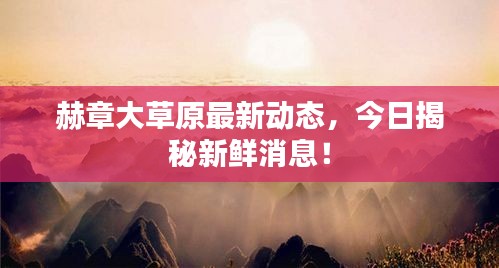 赫章大草原最新动态，今日揭秘新鲜消息！