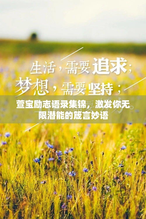 萱宝励志语录集锦，激发你无限潜能的箴言妙语