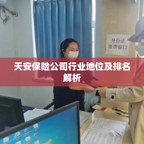 天安保险公司行业地位及排名解析