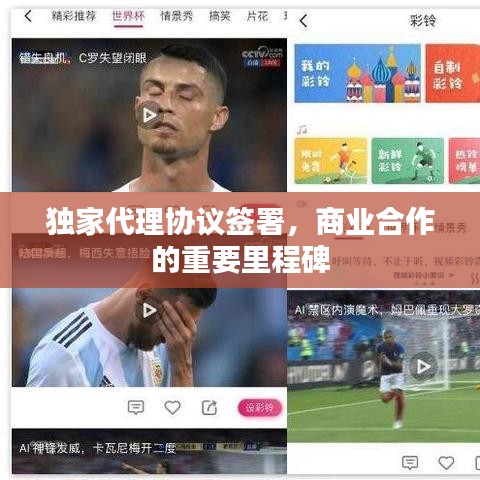 新澳中心 第19页