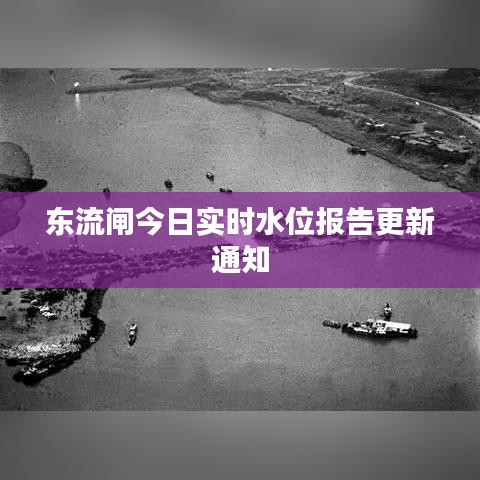 东流闸今日实时水位报告更新通知
