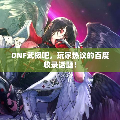 DNF武极吧，玩家热议的百度收录话题！
