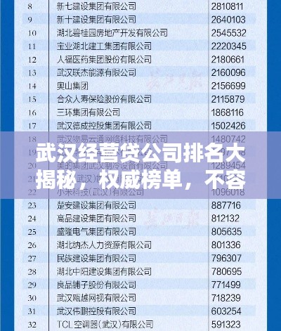 武汉经营贷公司排名大揭秘，权威榜单，不容错过！