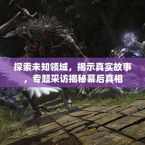 探索未知领域，揭示真实故事，专题采访揭秘幕后真相