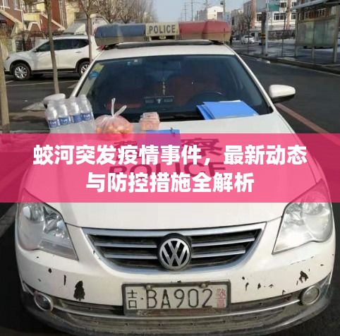蛟河突发疫情事件，最新动态与防控措施全解析