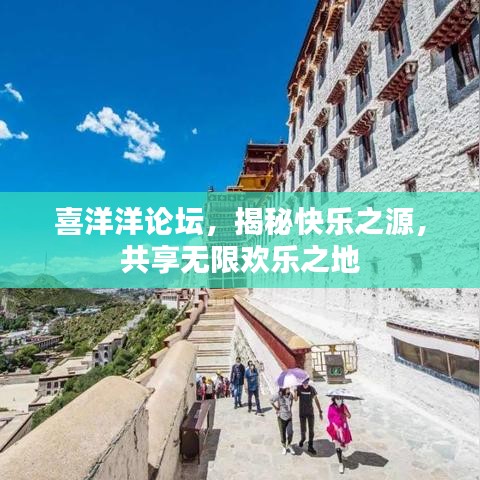 喜洋洋论坛，揭秘快乐之源，共享无限欢乐之地