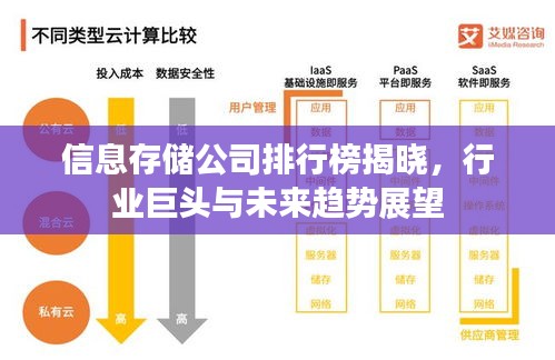 信息存储公司排行榜揭晓，行业巨头与未来趋势展望
