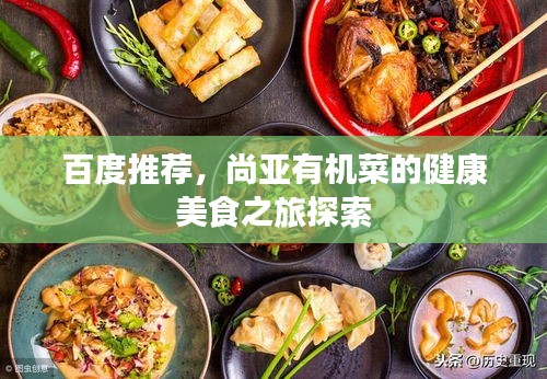 百度推荐，尚亚有机菜的健康美食之旅探索