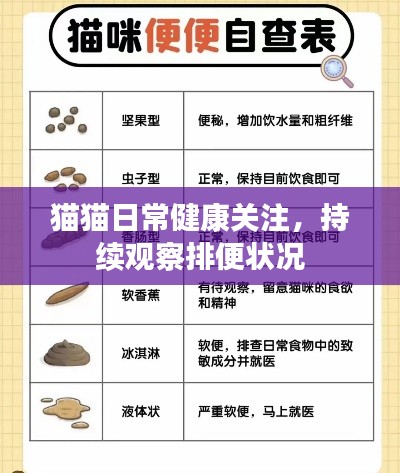 施工现场 第12页