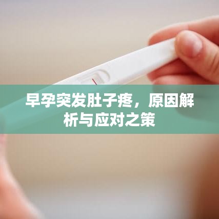 产品中心 第14页