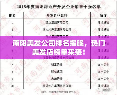新澳中心 第12页