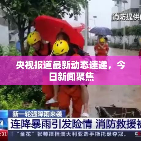 央视报道最新动态速递，今日新闻聚焦