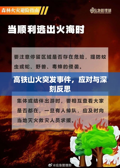 高铁山火突发事件，应对与深刻反思