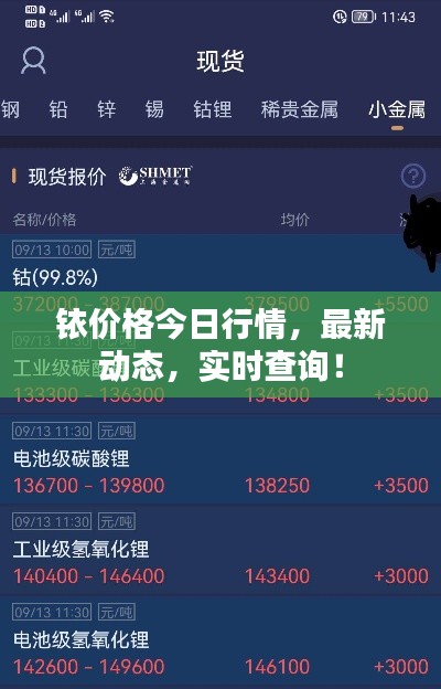铱价格今日行情，最新动态，实时查询！