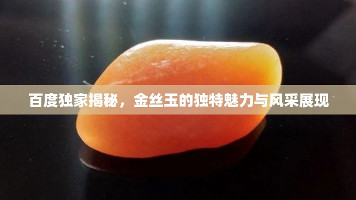 百度独家揭秘，金丝玉的独特魅力与风采展现