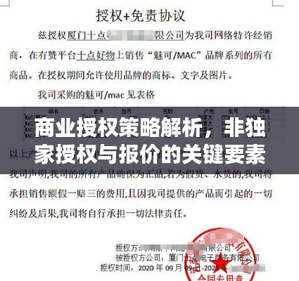 商业授权策略解析，非独家授权与报价的关键要素探讨