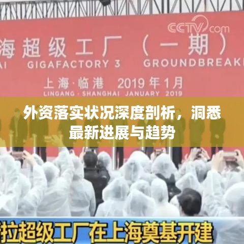 外资落实状况深度剖析，洞悉最新进展与趋势