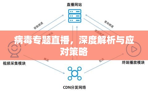 2025年4月 第2页