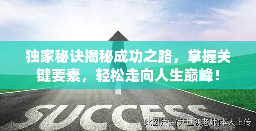 独家秘诀揭秘成功之路，掌握关键要素，轻松走向人生巅峰！